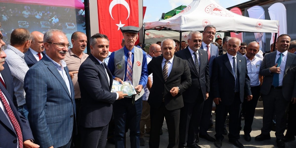 bafra-ovasinda-celtik-hasadi-016.jpg