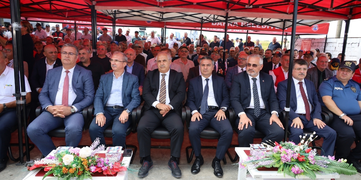 bafra-ovasinda-celtik-hasadi-017.jpg