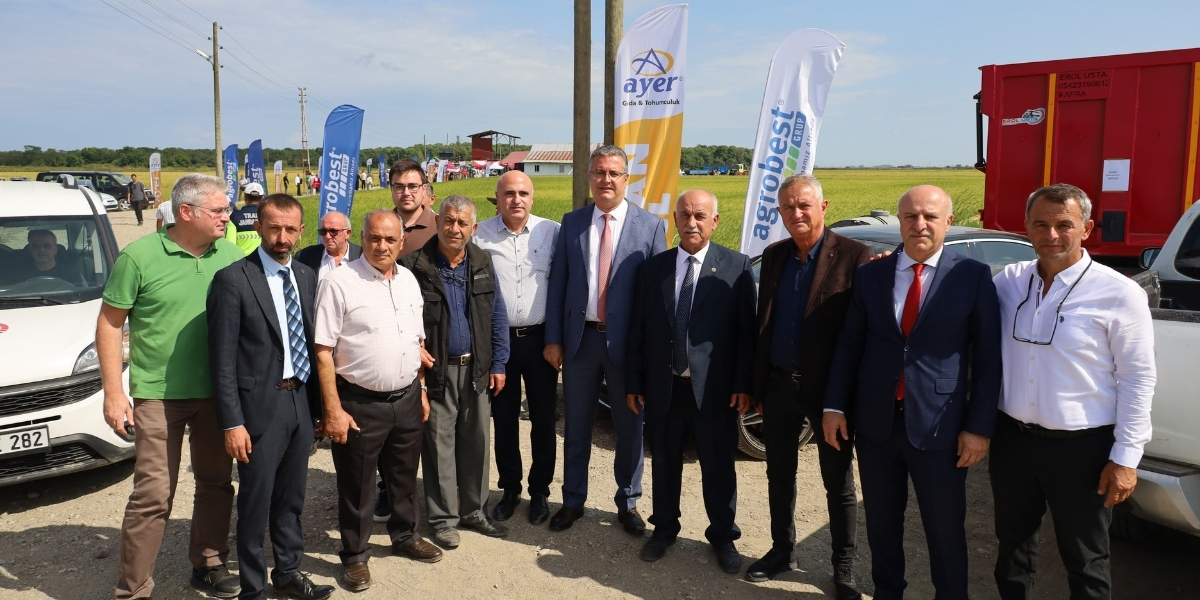 bafra-ovasinda-celtik-hasadi-021.jpg