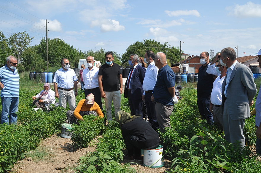 bafra-uretiyor-dunya-tuketiyor-1.jpg