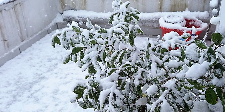 bafrada-bugun-baslayan-kar-yagisi-sehri-beyaz-ortuyle-kapladi-3.jpg