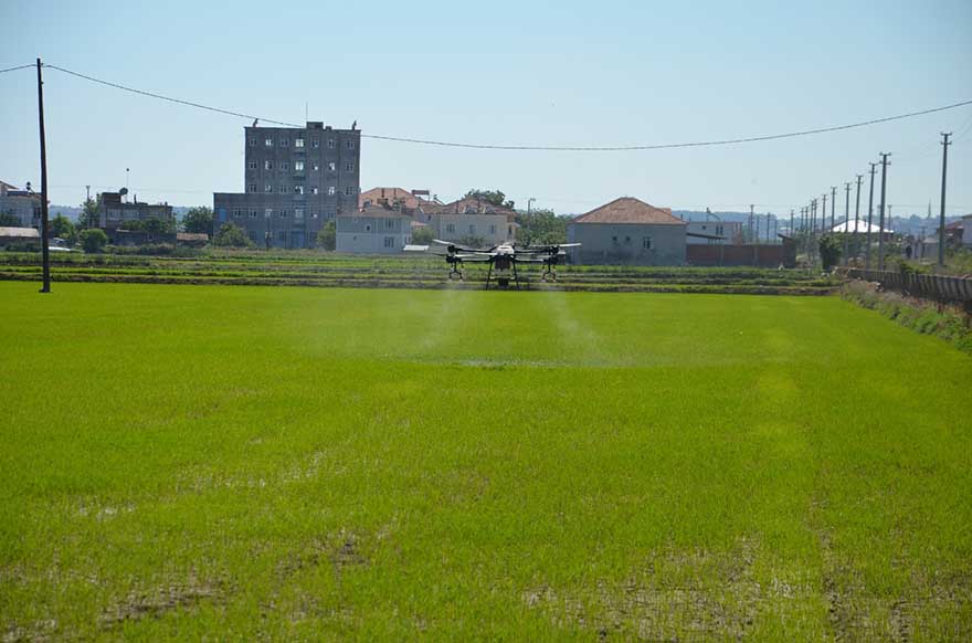 bafrada-celtik-arazilerinde-drone-ile-ilaclama-calismalarina-baslandi-9.jpg