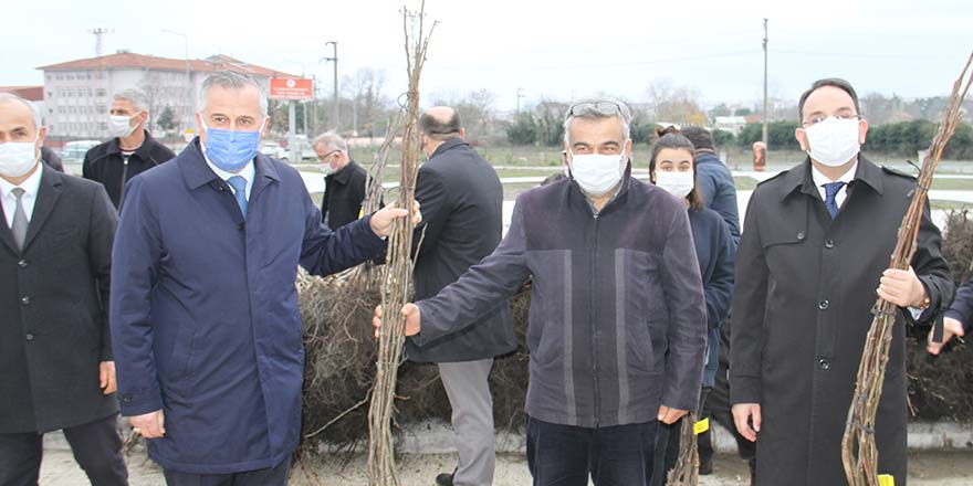 bafrada-ciftcilere-ceviz-fidani-dagitimi-yapildi-1.jpg