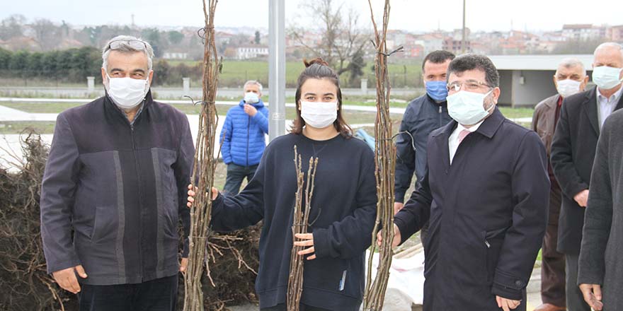 bafrada-ciftcilere-ceviz-fidani-dagitimi-yapildi-2.jpg