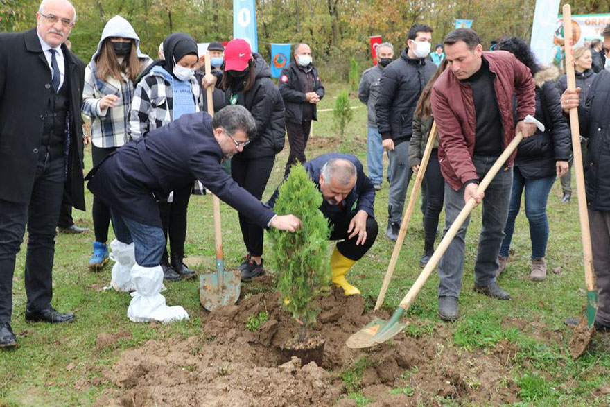 bafrada-fidanlar-toprakla-bulustu-1.jpg