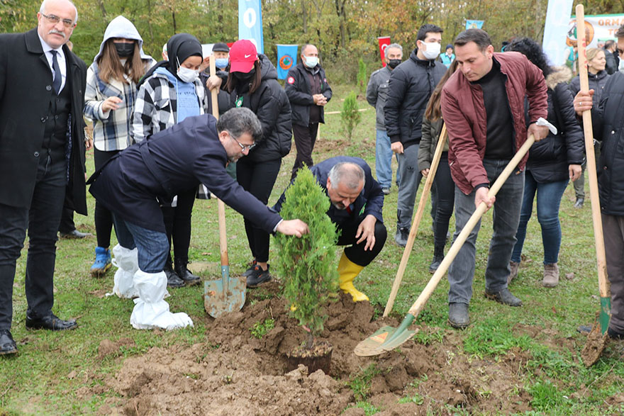 bafrada-fidanlar-toprakla-bulustu-7.jpg