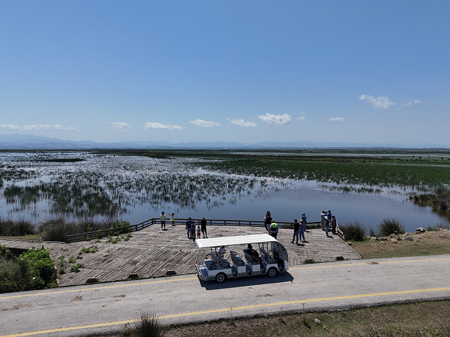 bafrada-gorsel-solen-basladi-kizilirmak-deltasinda-flamingo-resitali-7.jpg