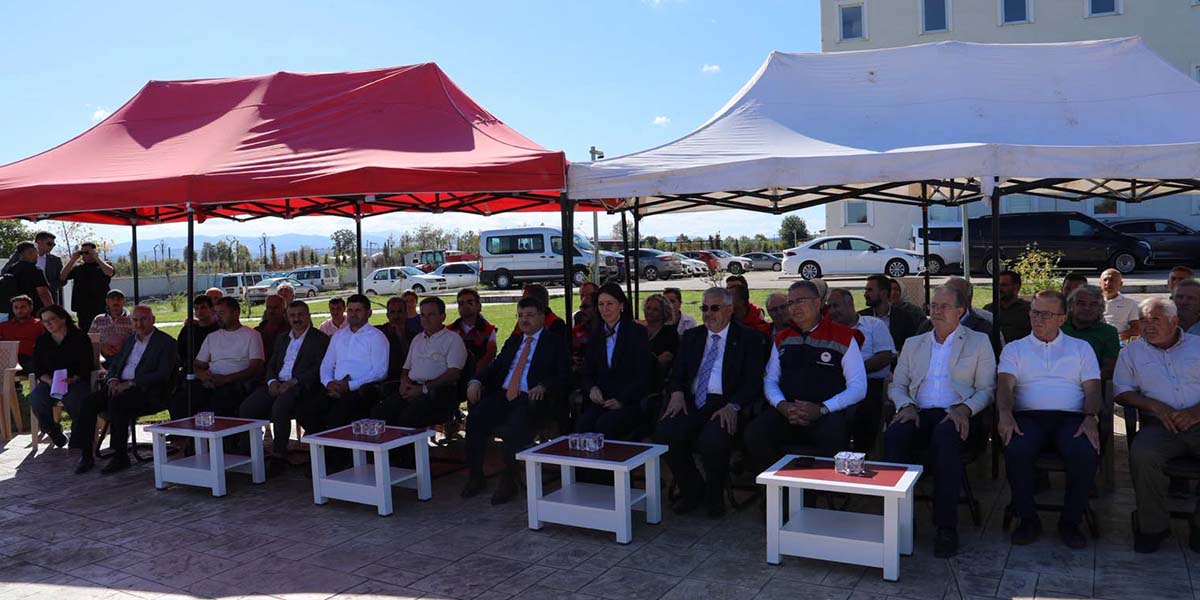 bafrada-ihracata-uygun-sebze-icin-fide-destegi-1.jpg
