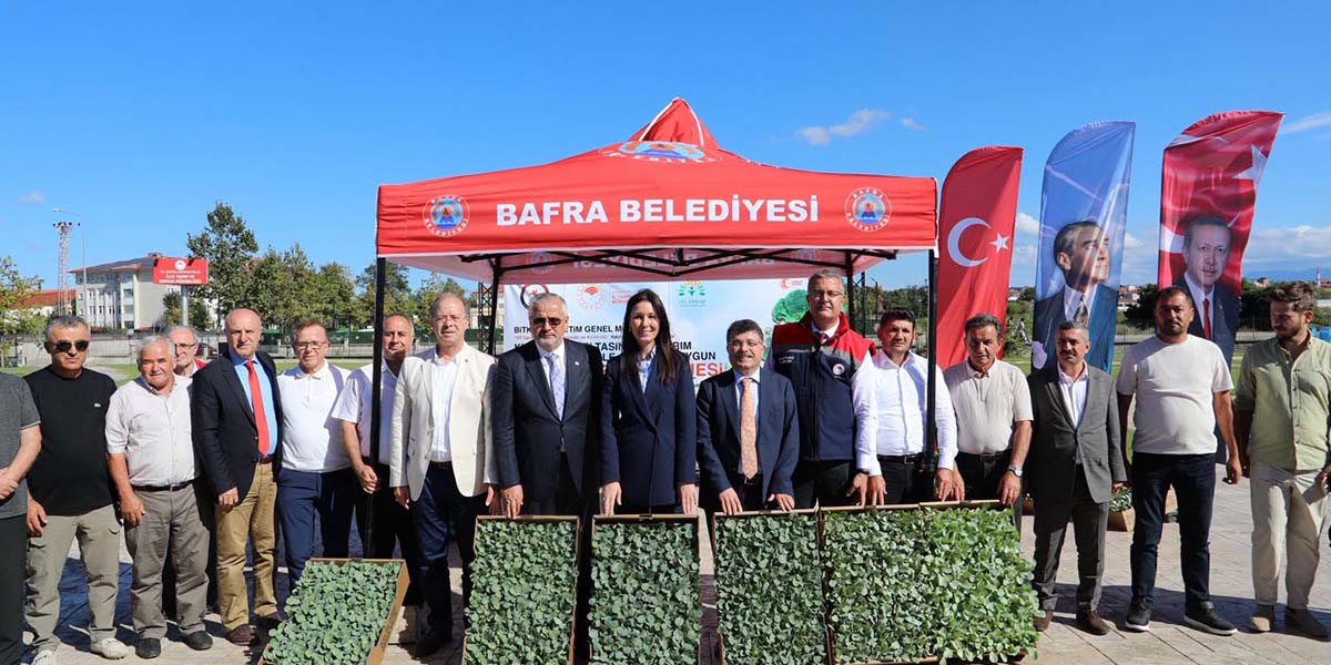 bafrada-ihracata-uygun-sebze-icin-fide-destegi.jpg