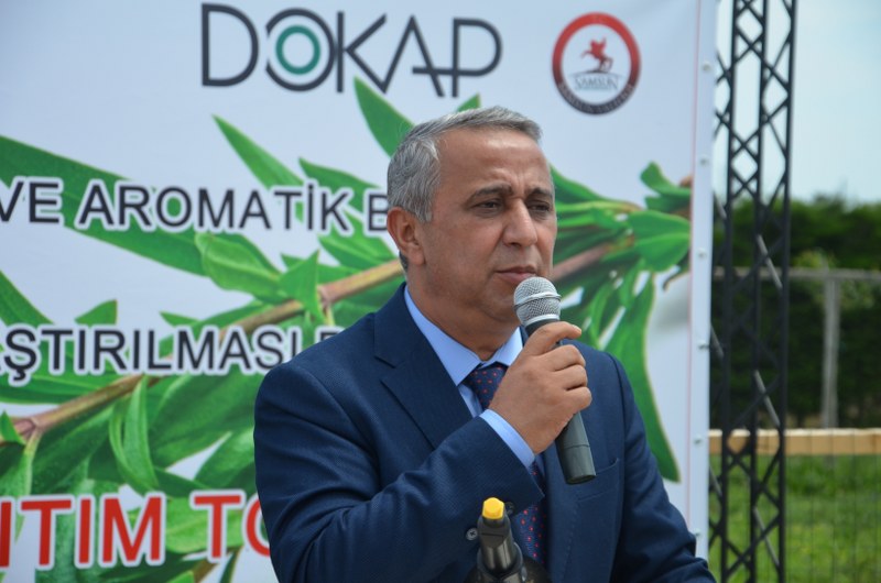 bafrada-kekik-yetistiriciligine-buyuk-destek-dogu-karadeniz-projesi-kalkinma-idaresi-baskanligi-dokap-bafrada-3-ciftciye-10-dekar-alanda-ekilmek-uzere-kekik-fidesi-dagitimi-gerceklestirdi-001.JPG