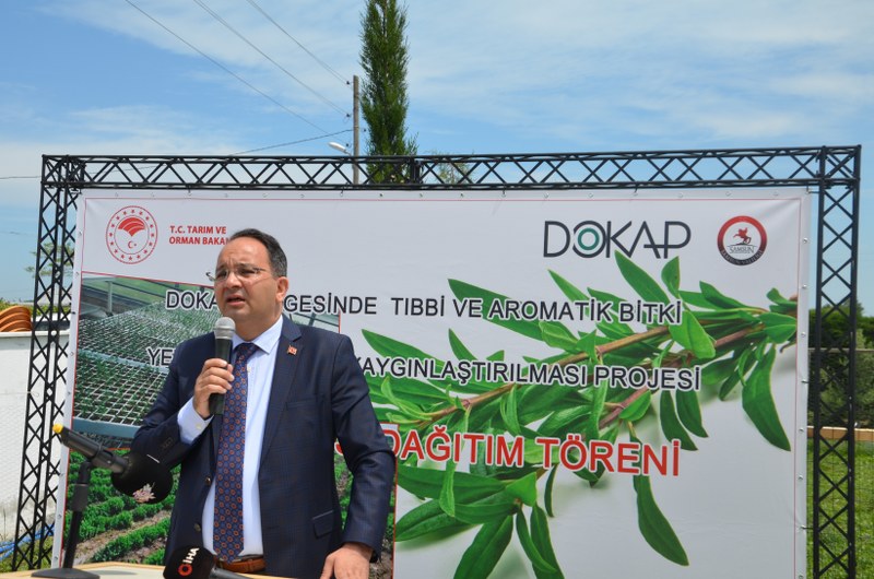 bafrada-kekik-yetistiriciligine-buyuk-destek-dogu-karadeniz-projesi-kalkinma-idaresi-baskanligi-dokap-bafrada-3-ciftciye-10-dekar-alanda-ekilmek-uzere-kekik-fidesi-dagitimi-gerceklestirdi-003.JPG