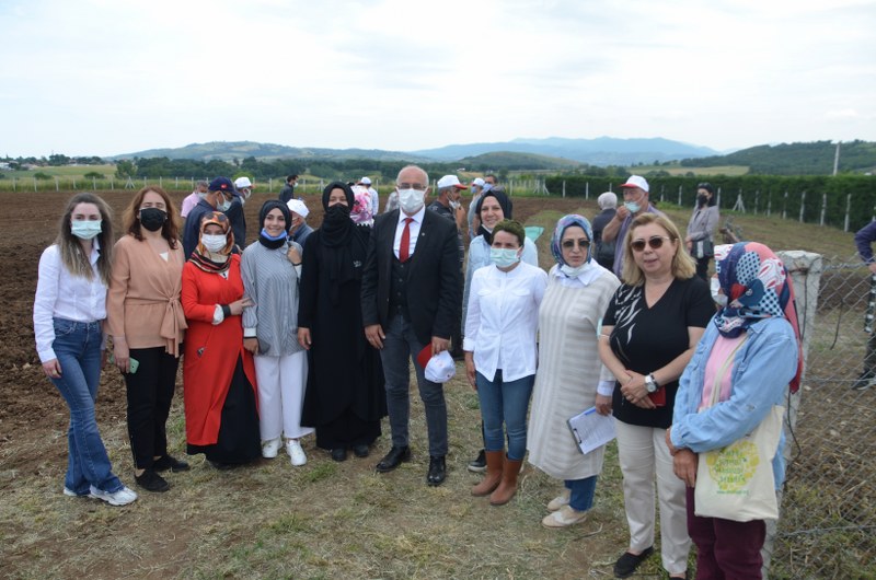 bafrada-kekik-yetistiriciligine-buyuk-destek-dogu-karadeniz-projesi-kalkinma-idaresi-baskanligi-dokap-bafrada-3-ciftciye-10-dekar-alanda-ekilmek-uzere-kekik-fidesi-dagitimi-gerceklestirdi-008.JPG