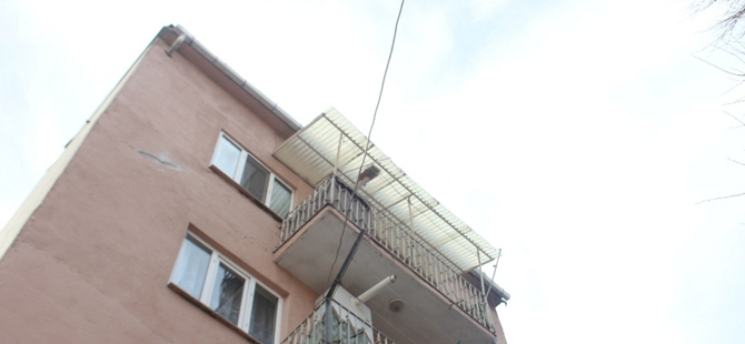 bafrada-mahsur-kalan-kedi-5.kattan-dustu-002.jpg