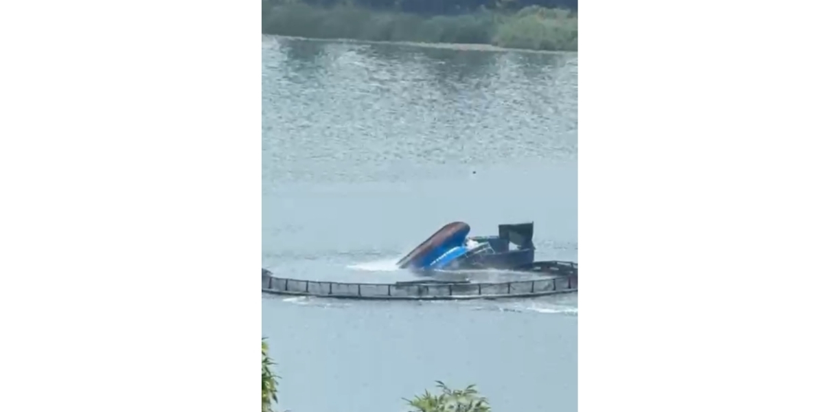 balik-kafesi.jpg
