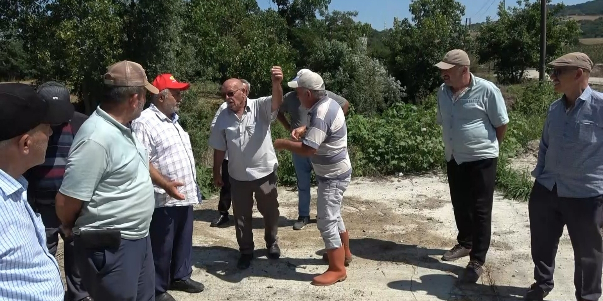 balik-olumleri-004.jpg