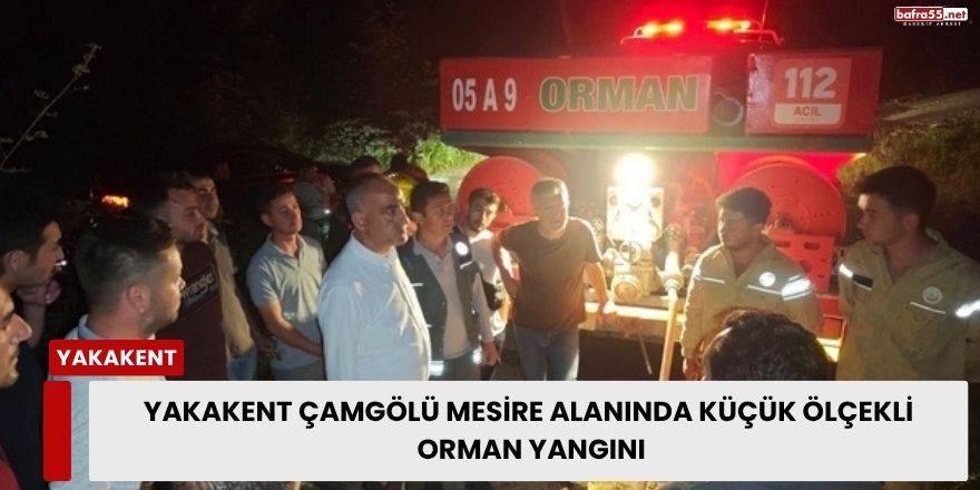 camgolu-orman-yangini.jpg