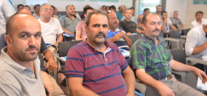 catas-4.jpg