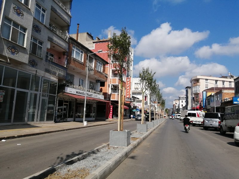 Alaçam Caddesi Yeşilleniyor