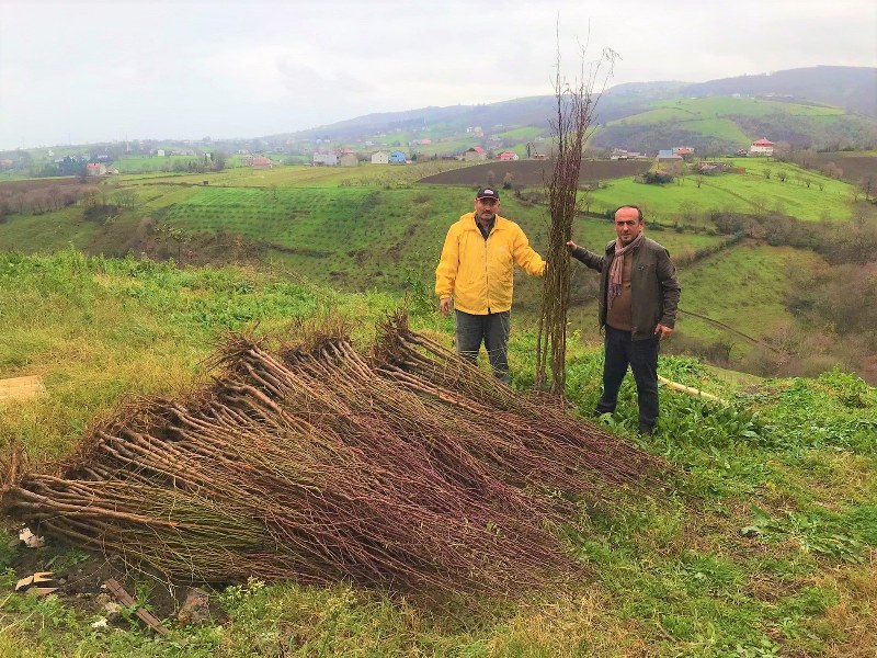 ciftcilere-badem-ve-musmula-fidani-destegi.jpg