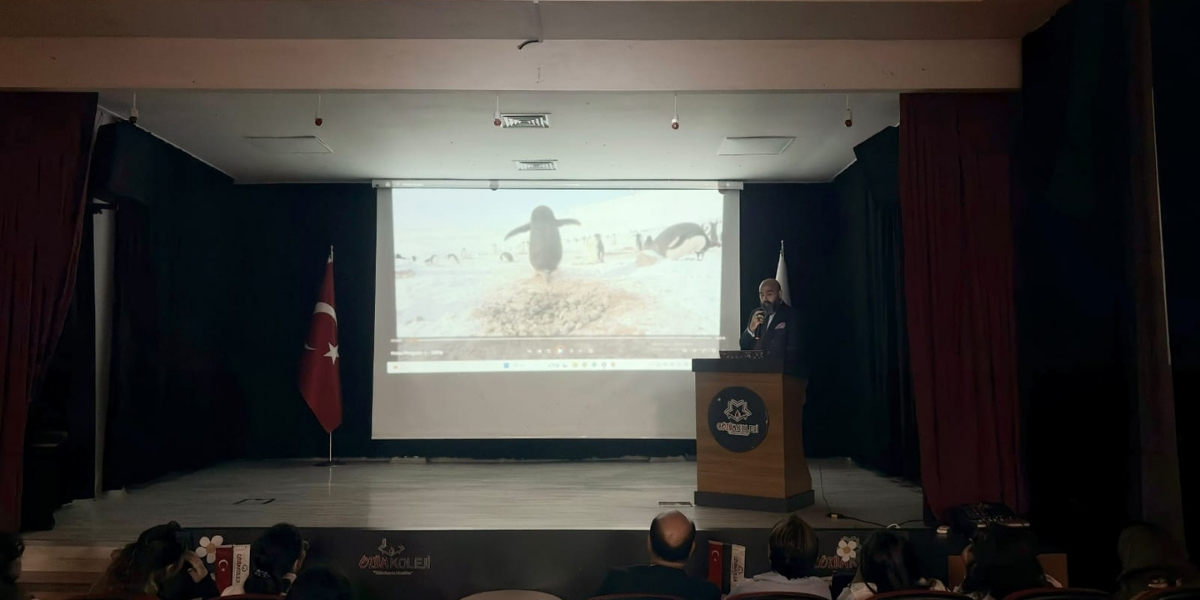 cozum-koleji-021.jpg