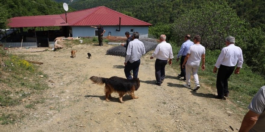 culhakoca-barinak.jpg