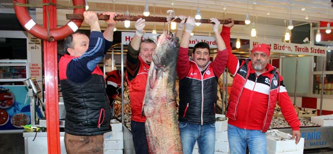 dev-yayin-balikalri2.jpg