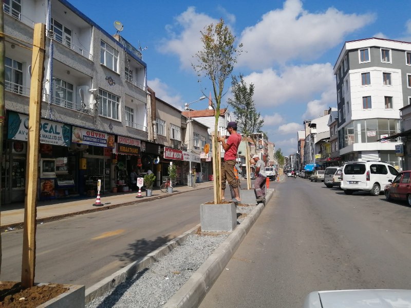 Alaçam Caddesi Yeşilleniyor