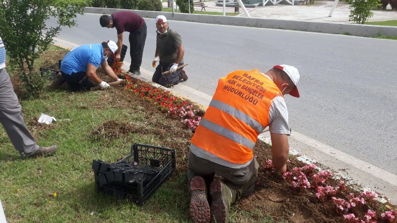 Bafra dört mevsim çiçek bahçesi