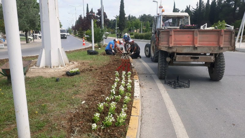 Bafra dört mevsim çiçek bahçesi