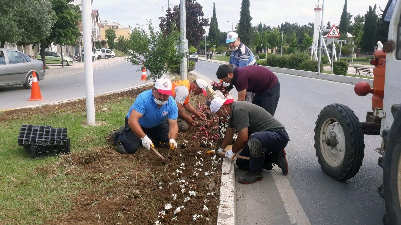 Bafra dört mevsim çiçek bahçesi