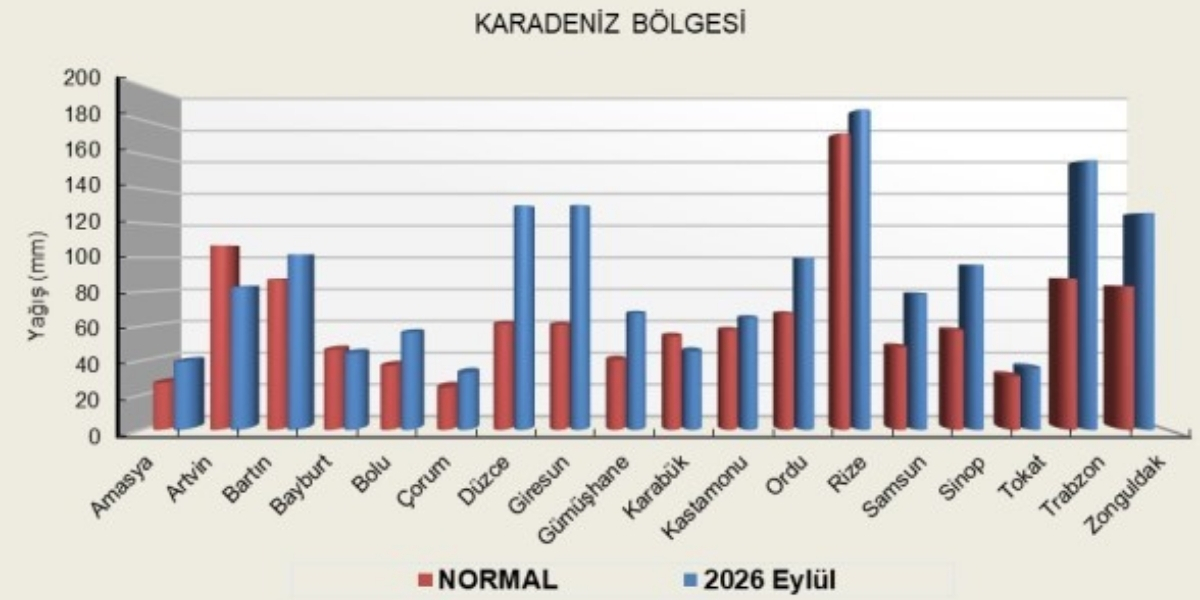 en-cok-yagis-003.jpg