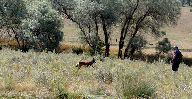 eylulu-bulan-abrek-evrimi-de-ariyor-1.jpg