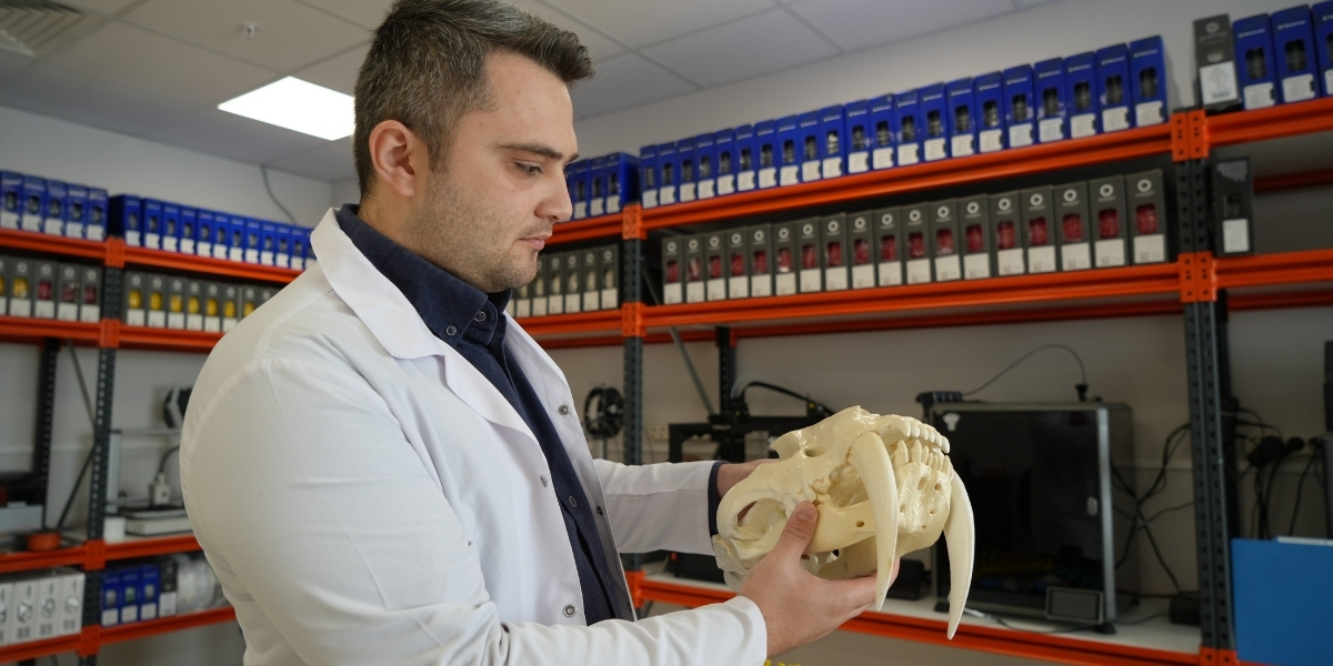 hayvan-anatomisi-004.jpg