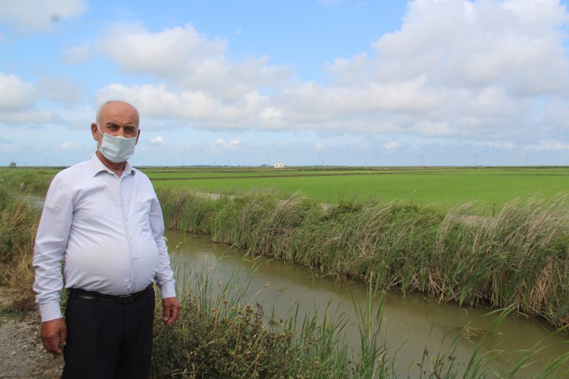 Bafra'da 42 Aile Damla Sulama Sistemi İle Çeltik Ekiyor
