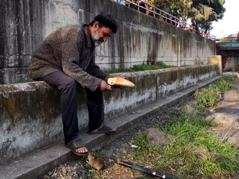 kimsesiz-adam-ile-farenin-dostlugu-ekmegini-fareyle-paylasiyor-001.jpg