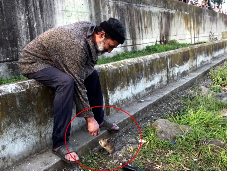 kimsesiz-adam-ile-farenin-dostlugu-ekmegini-fareyle-paylasiyor.jpg