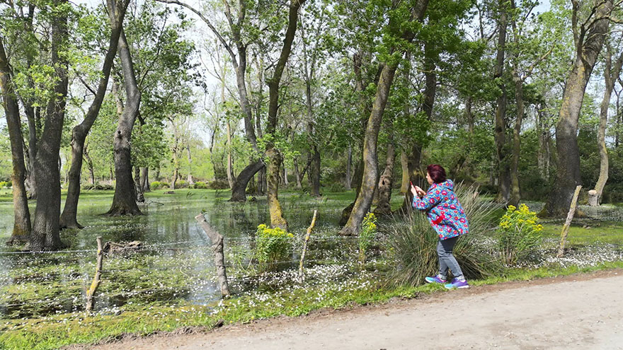 kiziliirmak-kus-cennetinde-papatya-guzelligi-6.jpg