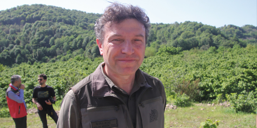 kokarca.png