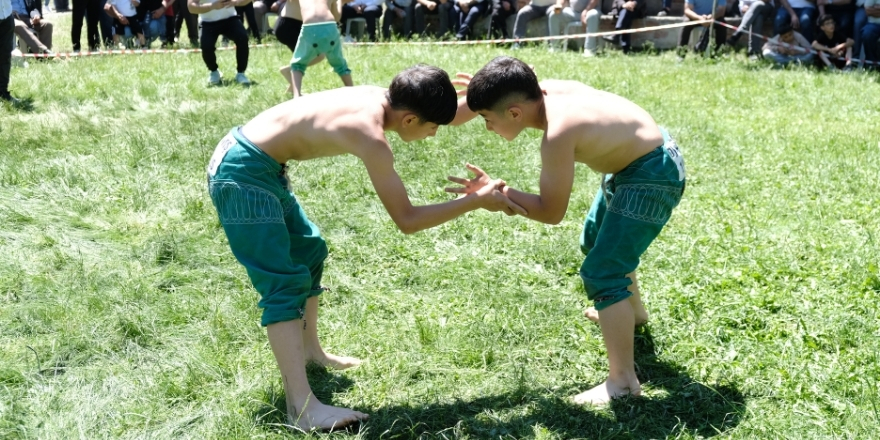 kuzuoren-guresleri-002.jpg