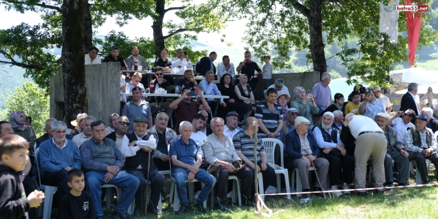 kuzuoren-guresleri.jpg