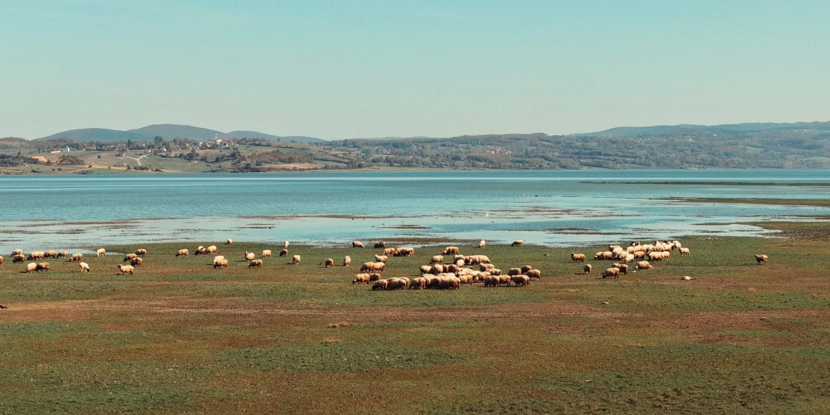 ladik-golu-004.jpg