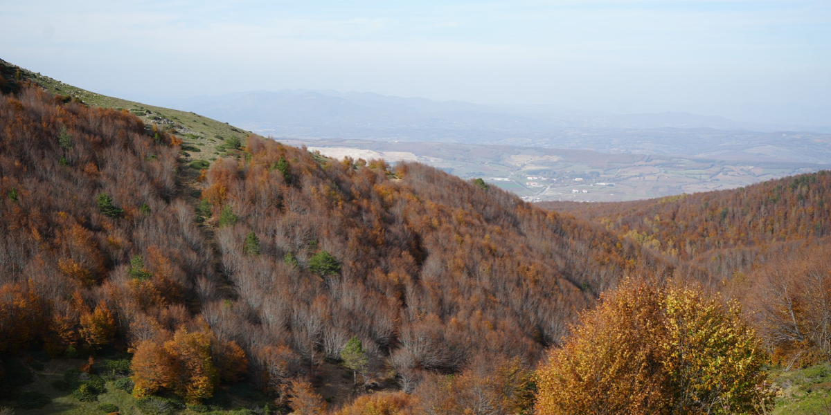 ladik-golu-006.jpg