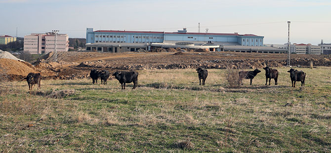 mandalar-universiteyi-mesken-tuttuf.jpg