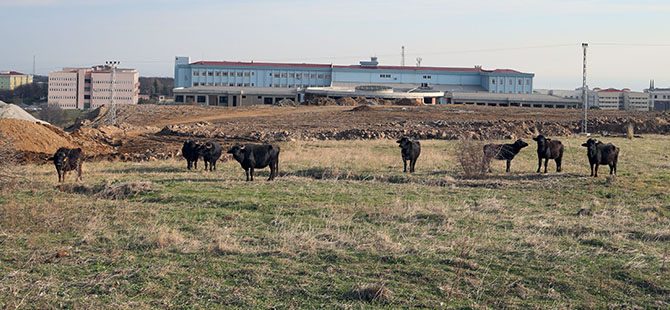 mandalar-universiteyi-mesken-tuttuf.jpg