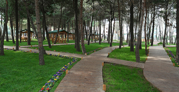 mese-orman-park-buyuyor1.jpg