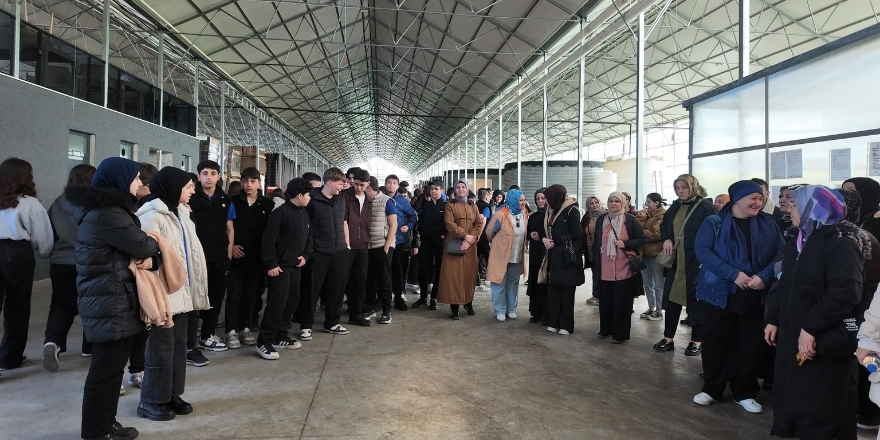 meslek-secimi-006.jpg