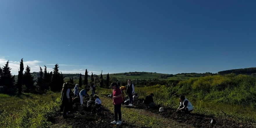 odes-4.jpg