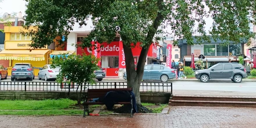 sadik-kopek-4.jpg