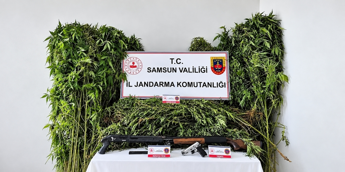 salipazari.jpg