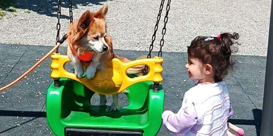 samsun-park.jpg